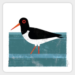 Oystercatcher Sticker